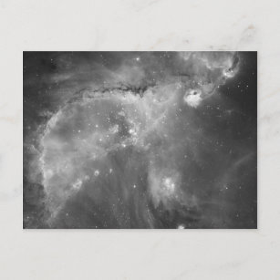 Hubble's Black and White View of the Universe Postcard