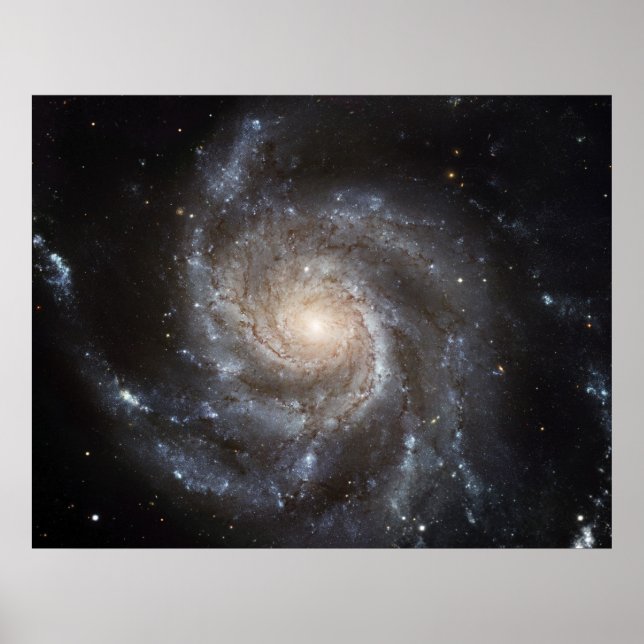 Hubble's Largest Galaxy Portrait  Poster (Front)