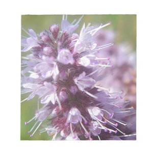Hübsche lila Wildblüten Notepad
