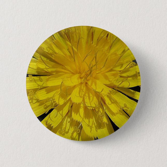Hübsche Löwenzahnblüte 6 Cm Round Badge (Front)