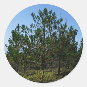 Huckleberry Hill Pebble Beach Stickers
