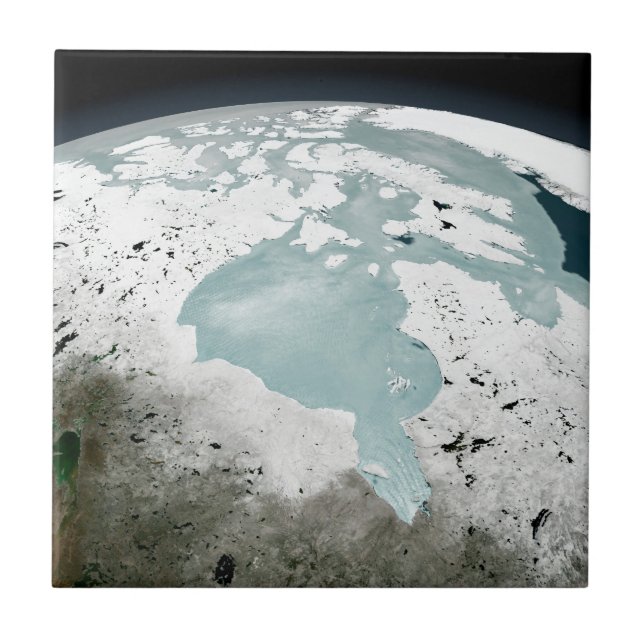 Hudson Bay Sea Ice On April 29, 2006. Tile (Front)