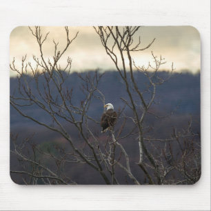 Hudson Valley Eagle Mouse Pad