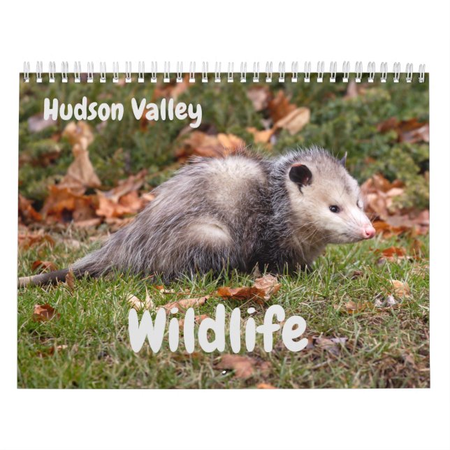 Hudson Valley  Wildlife Calendar (Cover)