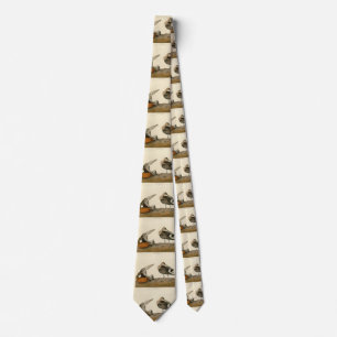 Hudsonian Godwit from Audubon's Birds of America Tie