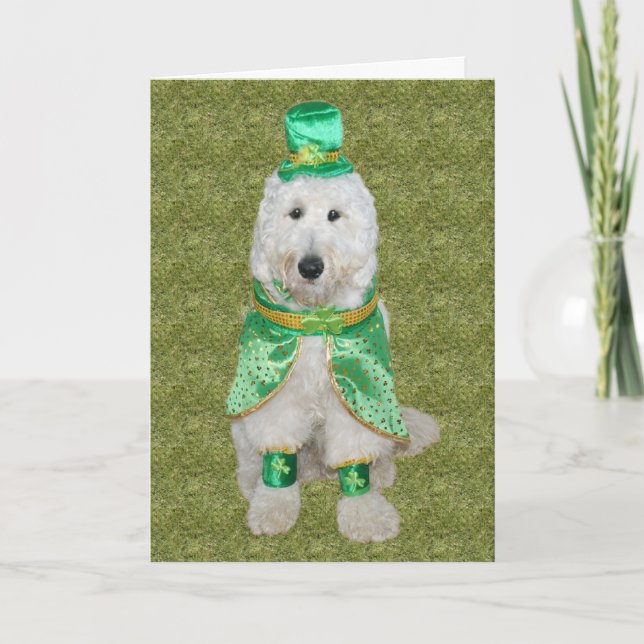 Huey McGoldendoodle St. Patrick's Day card (Front)