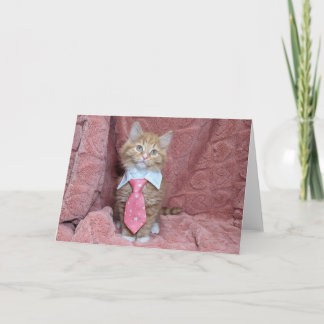 Huey the kitten in a pink tie card