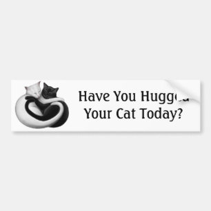 Hug a Cat Bumper Sticker