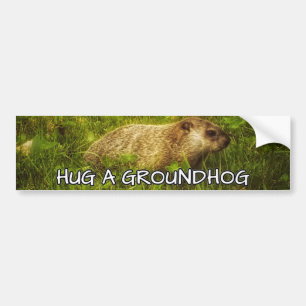 Hug a groundhog bumper sticker