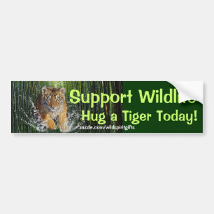 HUG A TIGER Wildlife Support Funny Bumper Sticker