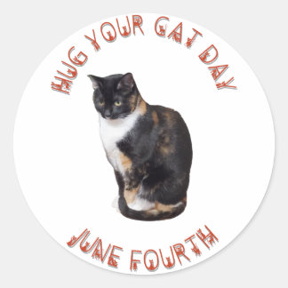 Hug Your Cat Day June 4th  Classic Round Sticker