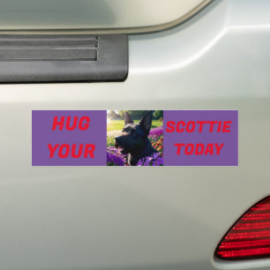 Hug Your Scottie Today Bumper Sticker
