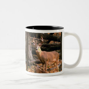 HUGE BUCK! MUG
