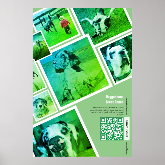 Huge Great Dane Kennel Promotion  Poster (Front)