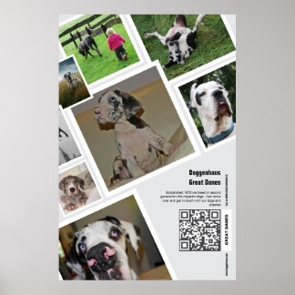 Huge Great Dane Kennel Promotion Poster