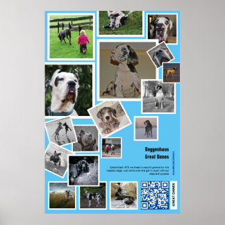 Huge Kennel Promotion  Poster