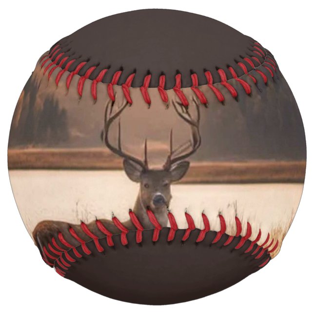 Huge Racked Deer on Mountain Lake Softball (Front)