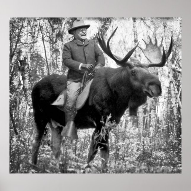 Huge Teddy Roosevelt Riding A Bull Moose Poster (Front)