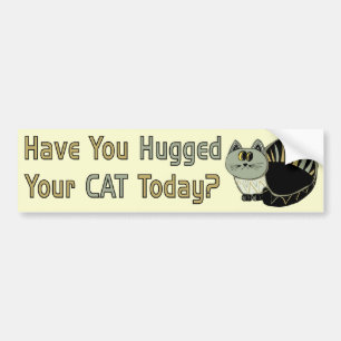 Hugged Your Cat Bumper Sticker