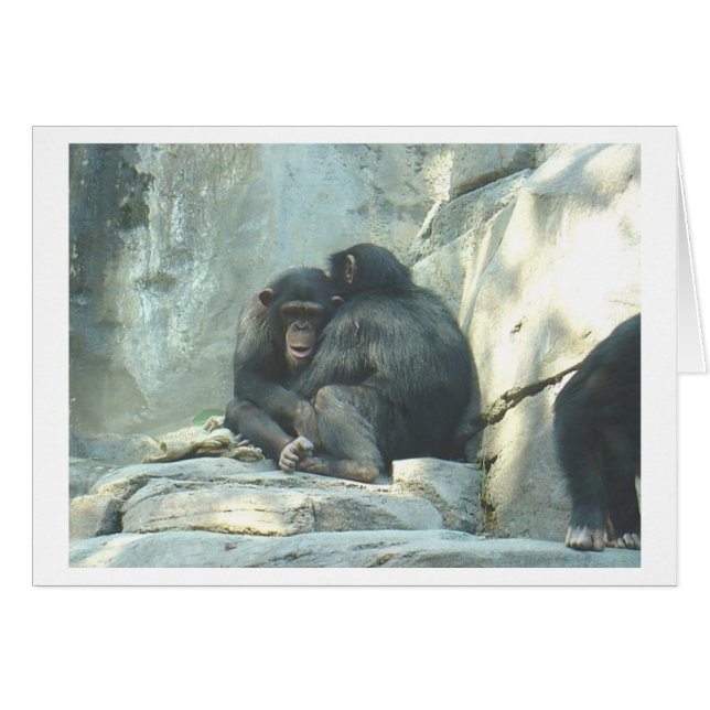 Huggin Chmps (Front Horizontal)