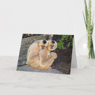 Hugging Buff Cheeked Gibbons Card