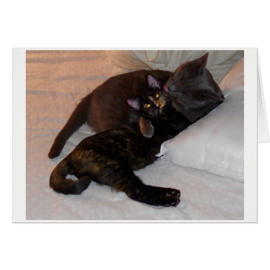 Hugs and Kisses I Love You Animals Card