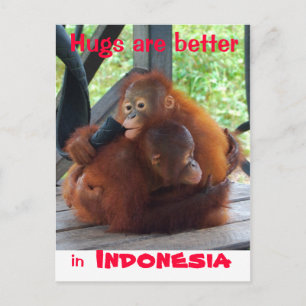 Hugs are Better in Indonesia Postcard