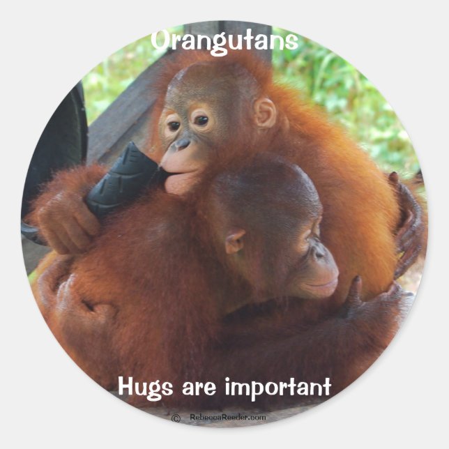 Hugs Are Important Classic Round Sticker (Front)