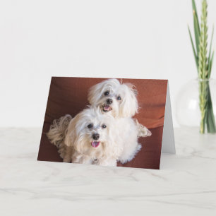 Hugs Card