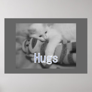 Hugs kitty Poster
