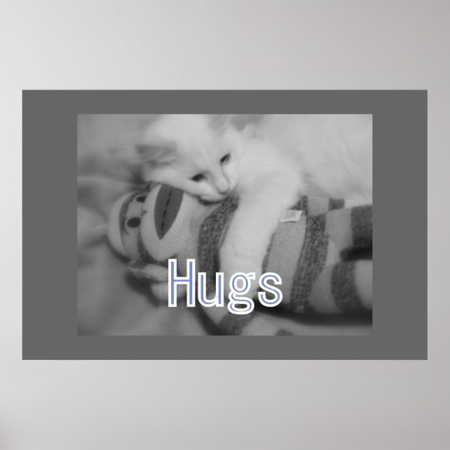 Hugs kitty Poster (Front)