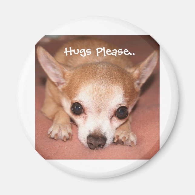 Hugs Please.. Magnet (Front)