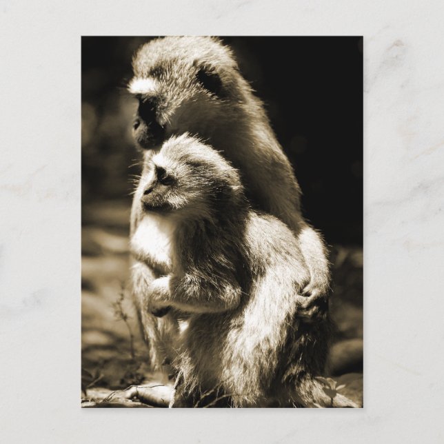 Hugs Postcard (Front)