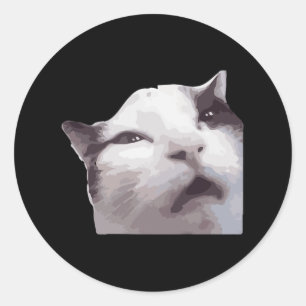 Huh! Cat Meme Classic Round Sticker