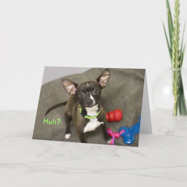 Huh?  Chihuahua Birthday Card (Front)