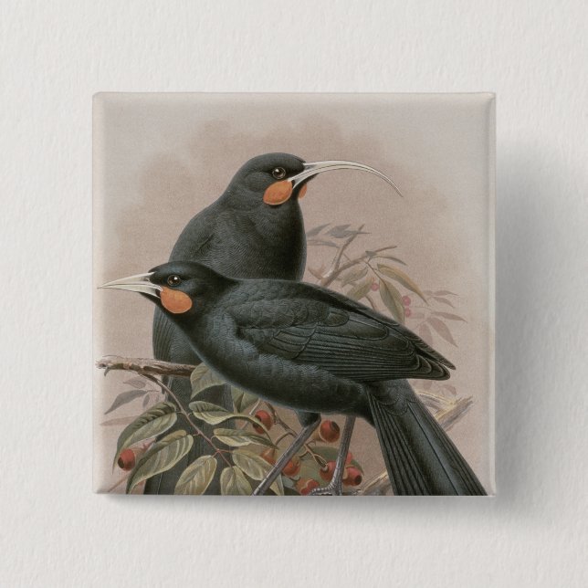 Huia 15 Cm Square Badge (Front)