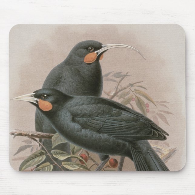 Huia Mouse Pad (Front)
