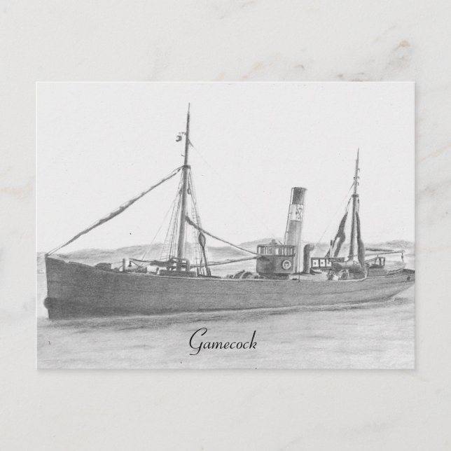 Hull trawler - Gamecock postcard (Front)