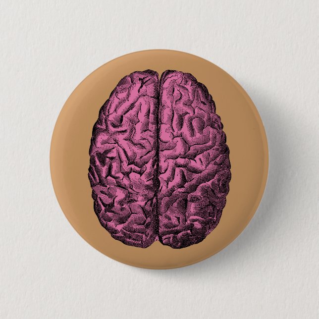 Human Anatomy Brain 6 Cm Round Badge (Front)