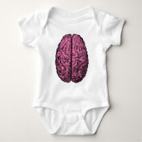 Human Anatomy Brain