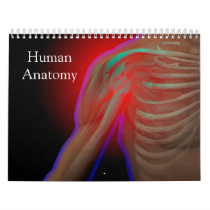 Human Anatomy Calendar