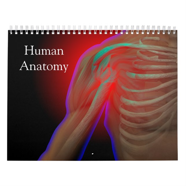 Human Anatomy Calendar (Cover)