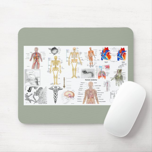Human Anatomy Charts Mouse Pad (With Mouse)