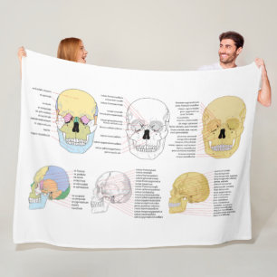 Human Anatomy Human Skull illustrated blanket