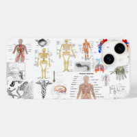 Human Anatomy Medical Chart