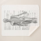 Human Anatomy Medical Chart