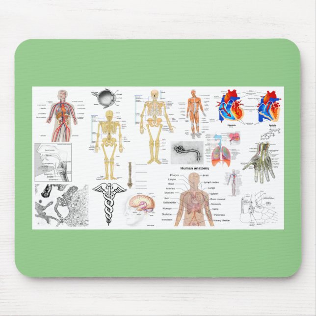 Human Anatomy Medical Charts Mouse Pad (Front)