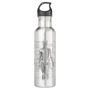 Human Anatomy Medical Diagram 710 Ml Water Bottle