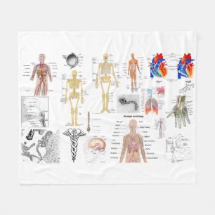 Human Anatomy Medical Diagrams full coloured Fleece Blanket