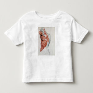 Human Anatomy; Muscles of the Torso and Shoulder Toddler T-Shirt